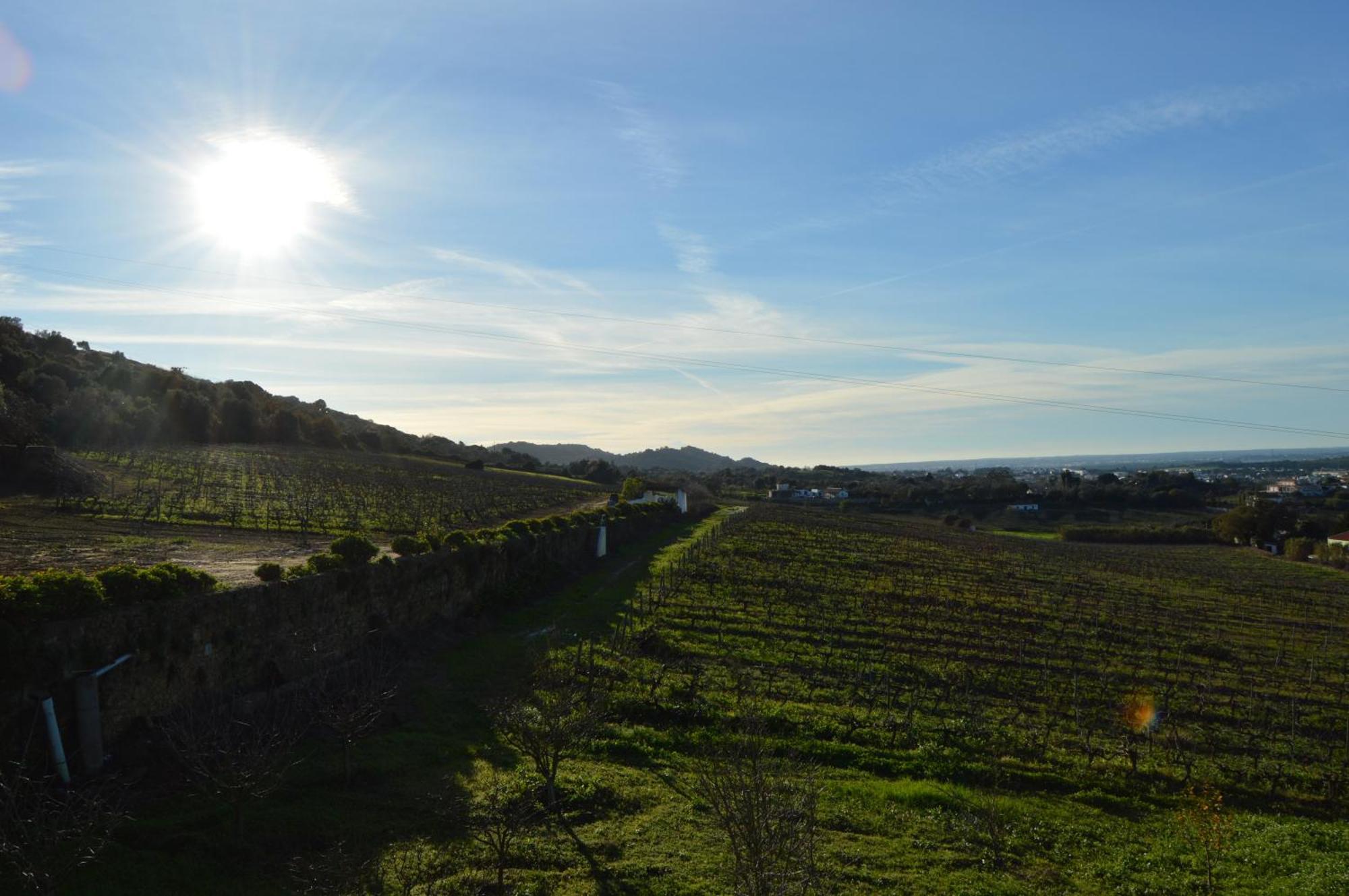 Maison d'hôtes Quinta Do Piloto à Palmela Extérieur photo