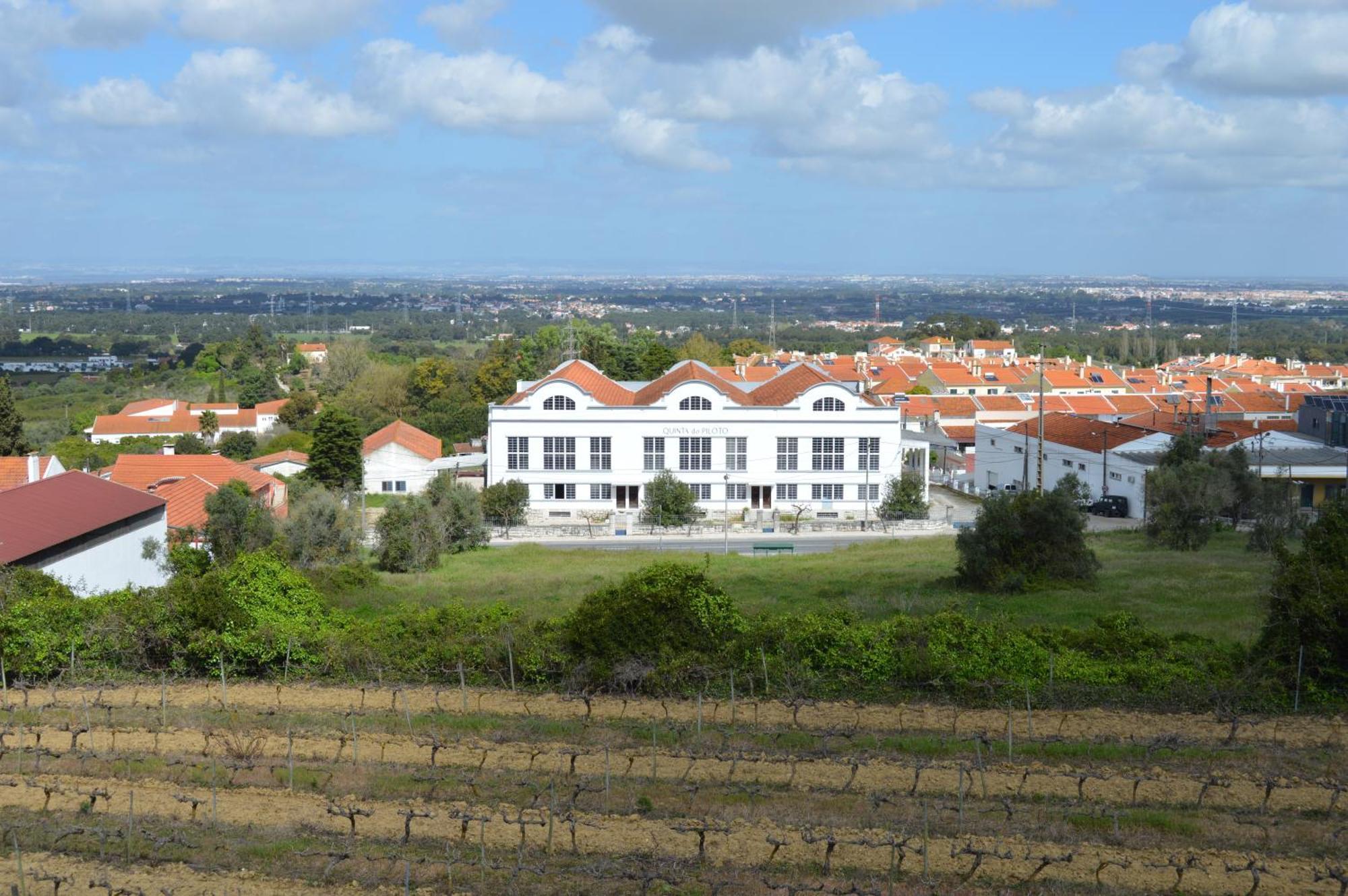 Maison d'hôtes Quinta Do Piloto à Palmela Extérieur photo